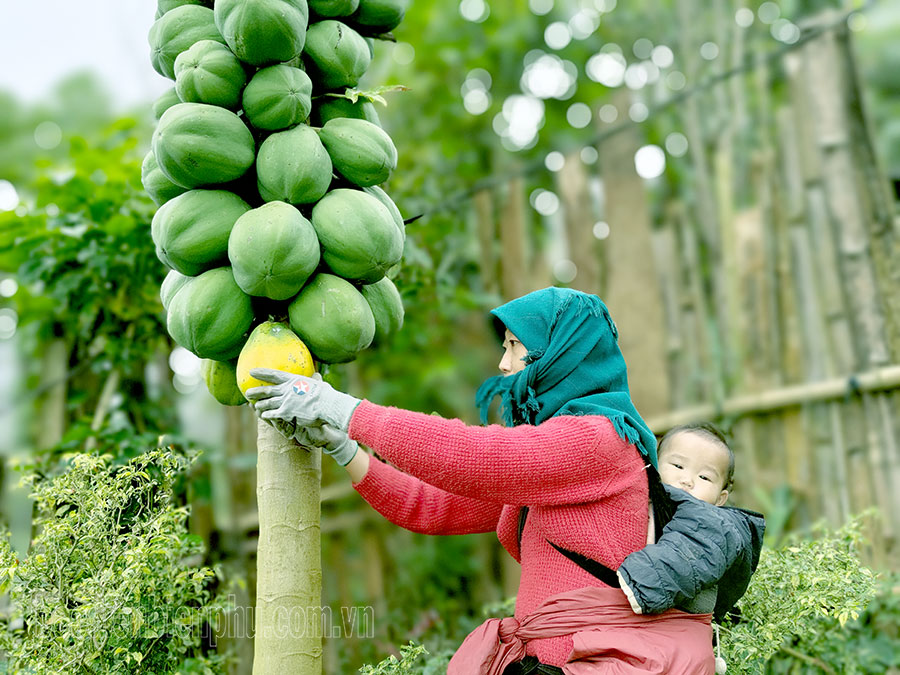 Xây dựng và nhân rộng các mô hình an toàn thực phẩm