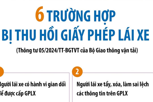 6 trường hợp bị thu hồi giấy phép lái xe từ 1-6