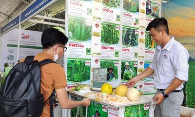 Tin thời sự nóng mới nhất ngày 18/8: TP.HCM đưa nông dân đi nước ngoài học tập kinh nghiệm