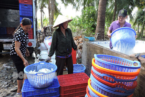 Tập trung tuyên truyền Đại hội đại biểu toàn quốc Hội Nông dân Việt Nam lần thứ VIII, nhiệm kỳ 2023 - 2028