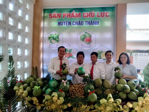 Châu Thành tuyên dương 42 gương nông dân sản xuất, kinh doanh giỏi