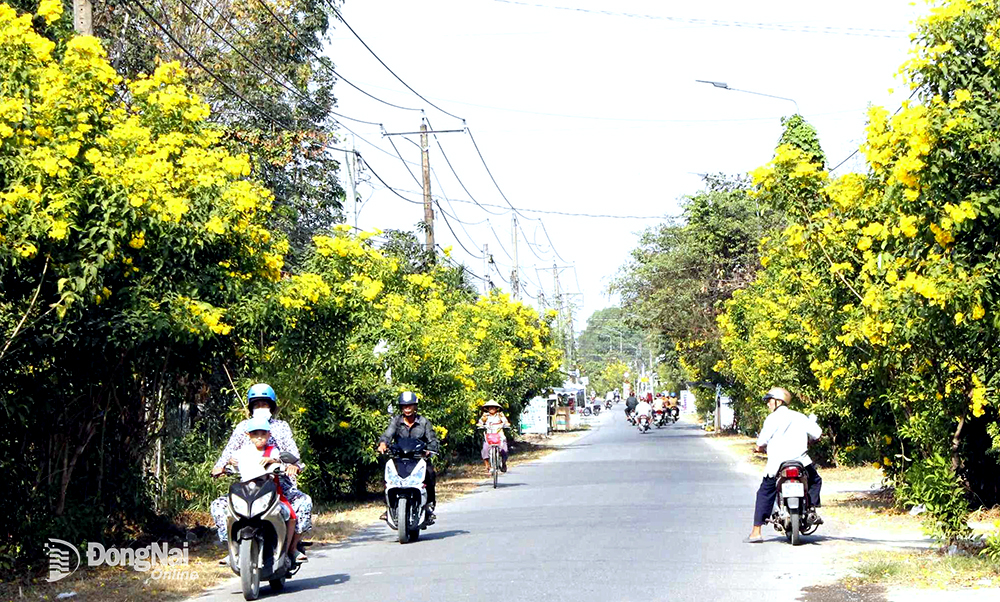 Sắc xuân ở xã nông thôn mới kiểu mẫu đầu tiên của Đồng Nai