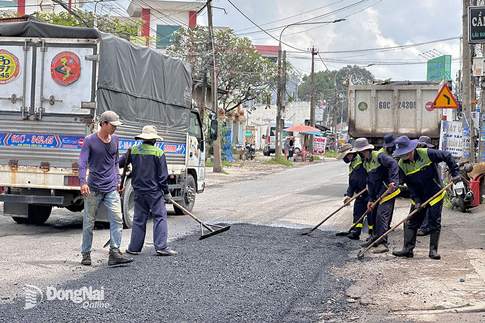 Mong đường Nguyễn Tri Phương được cải tạo