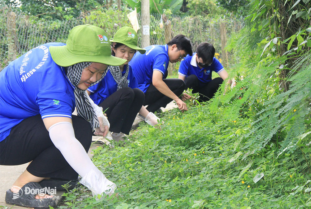 Dấu ấn Chiến dịch Thanh niên tình nguyện hè