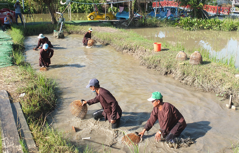 Huyện Lấp Vò phát huy giá trị văn hóa, văn học, nghệ thuật trên địa bàn