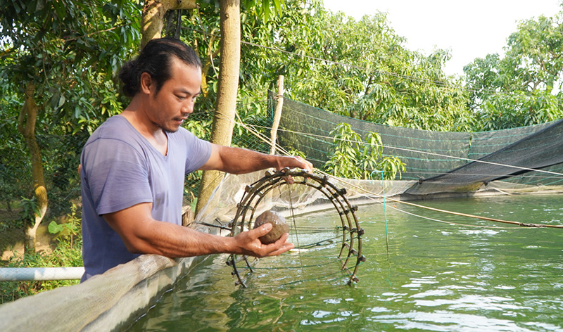 Anh Nguyễn Chí Tâm thu nhập hàng tỷ đồng từ mô hình nuôi cá đặc sản