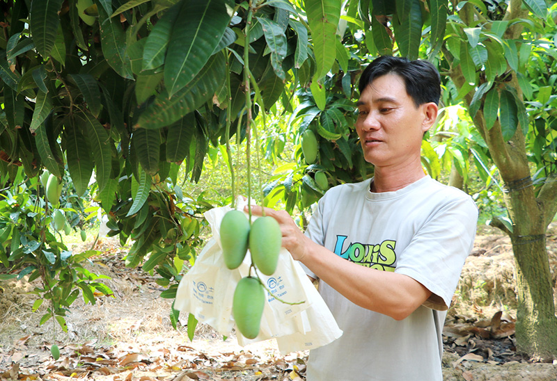 Tiếp sức cho hộ nghèo, cận nghèo phát triển kinh tế