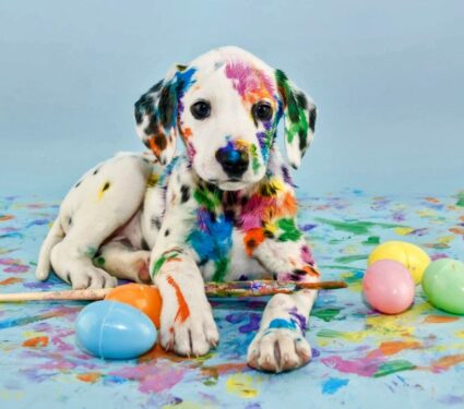 Holiday dangers: Keeping your pets safe on Easter weekend