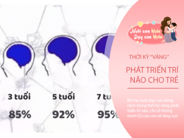 Thời kỳ vàng phát triển trí não từ 0-6 tuổi: Mẹ làm được điều này con tăng nhanh chỉ số IQ Dạy con 3-5 tuổi