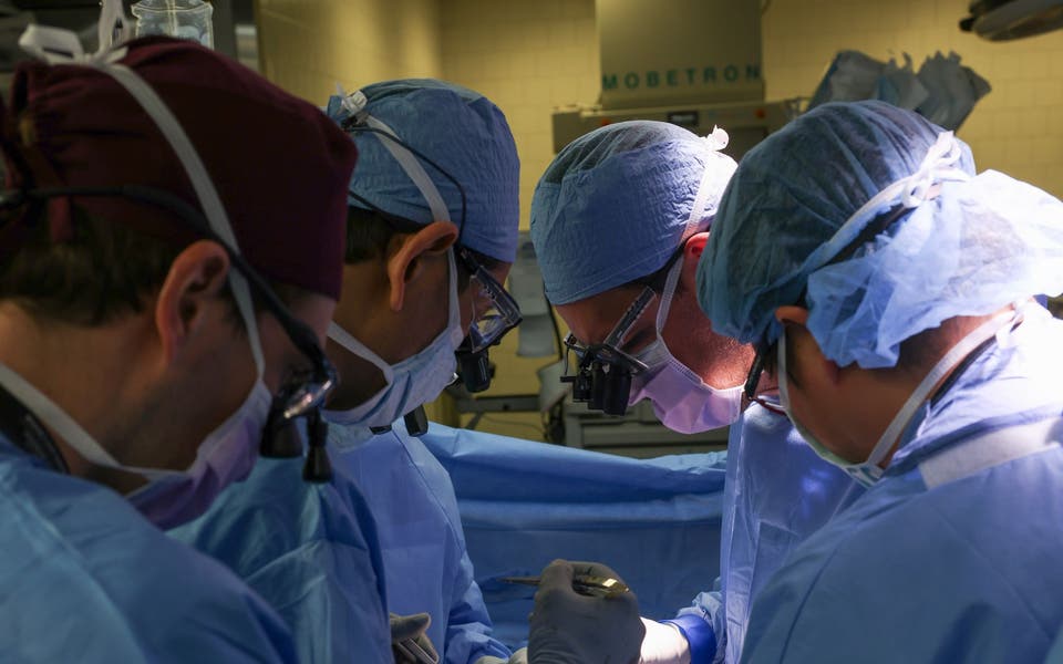 Doctors transplant pig kidney into patient for the first time