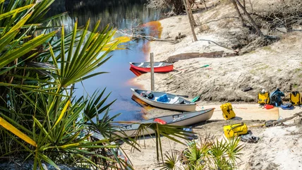 Công viên tiểu bang bị đánh giá thấp ở Florida với đầy những con đường đi bộ và những cuộc phiêu lưu trên sông