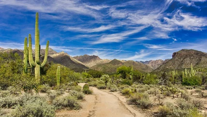 One Of Arizona's Lesser-Known Natural Wonders Is Full Of Breathtaking Hiking Trails