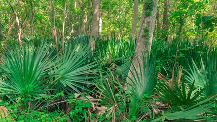 This Southern State Park Offers Otherworldly Swimming Spots And Epic Hiking Trails