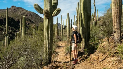 Khám phá một số cảnh truy tìm nhiều nhất của Arizona về khó khăn, giấu Gem Hike