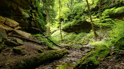 This Lush, Midwest State Park Is A Stunning Hidden Gem Favored By Hikers And Campers