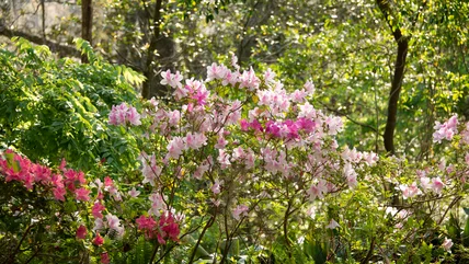 The Hiking Trails At This Underrated Florida State Park Will Take Your Breath Away