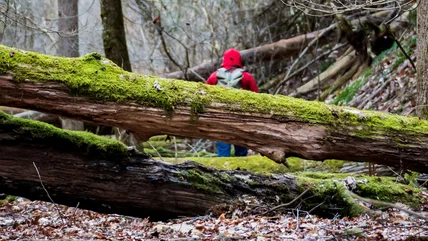 Why Adventure Lovers Are So Obsessed With This Underrated State Park In The Midwest