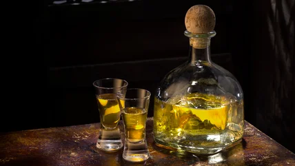 When To Use Añejo Vs Reposado Tequila For The Best Cocktails