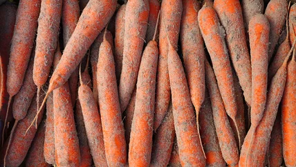 The Odd Reason To Consider Storing Your Carrots In Sand