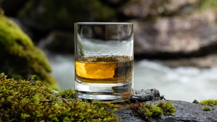 Nơi để tìm những loại rượu Scotch Whisky than bùn ngon nhất