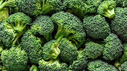 The Smartest Way To Store Broccoli In Your Fridge