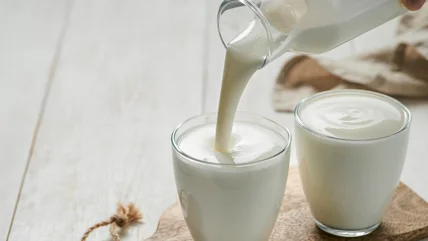 Kefir là gì và nó khác với sữa chua như thế nào?