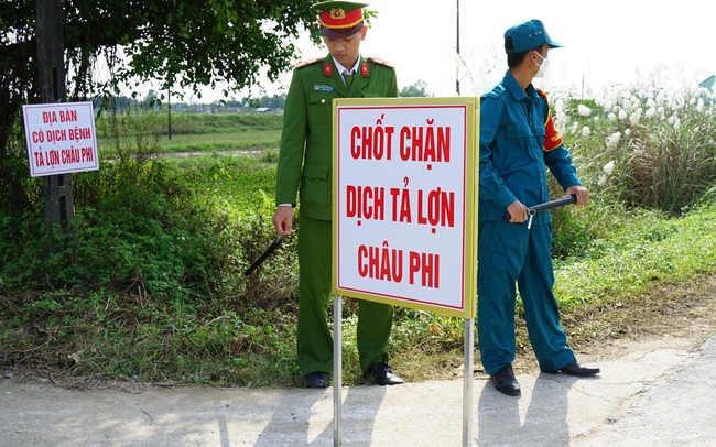 Dịch tả lợn châu Phi chưa hạ nhiệt, các tỉnh Miền trung cấp bách phòng chống