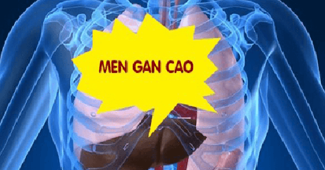 6 triệu chứng tăng men gan thường gặp