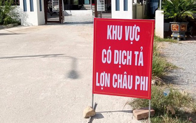 Dịch tả lợn châu Phi bùng phát ở Hà Tĩnh