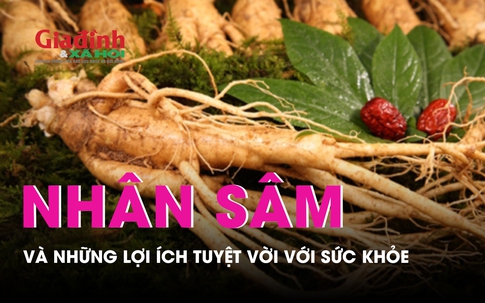 Khám phá những lợi ích sức khỏe tuyệt vời của nhân sâm