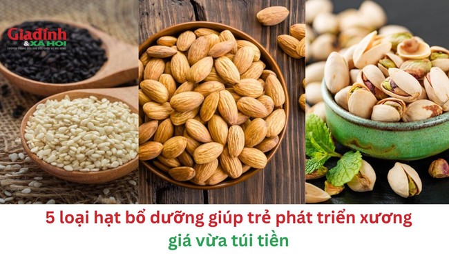 5 loại hạt bổ dưỡng giúp trẻ phát triển xương giá vừa túi tiền