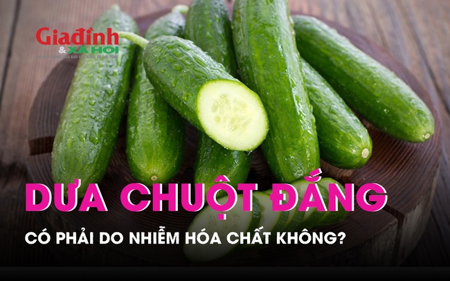 Dưa chuột có vị đắng có phải do nhiễm hóa chất không?