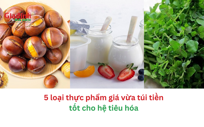 5 loại thực phẩm giá vừa túi tiền tốt cho hệ tiêu hóa