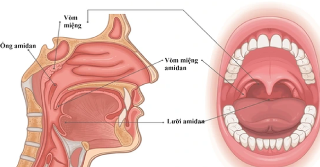 Các phương pháp điều trị viêm VA ở trẻ nhỏ