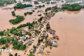 Đứng lên sau thảm họa Yagi