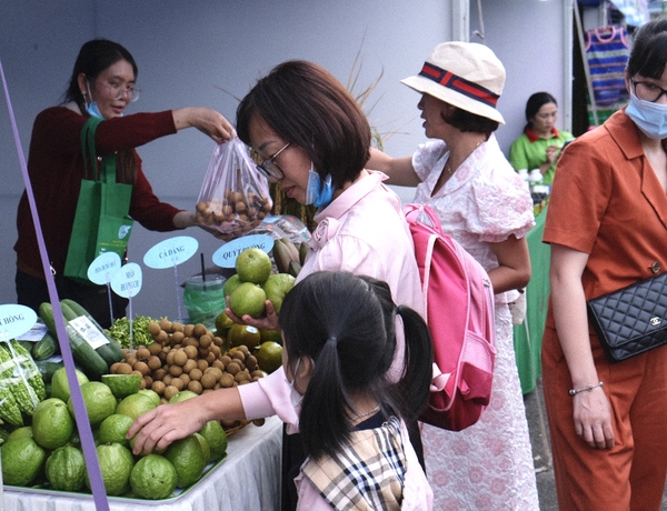 Gia Lai: Giới thiệu mô hình phát triển sinh kế hòa nhập cộng đồng cho phụ nữ là nạn nhân mua bán người