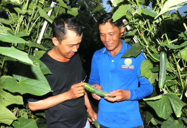 Đak Pơ lan tỏa phong trào nông dân thi đua sản xuất kinh doanh giỏi