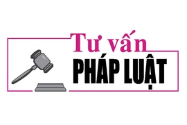 Luật sư Bùi Thanh Vũ tư vấn pháp luật về hủy kết hôn trái pháp luật