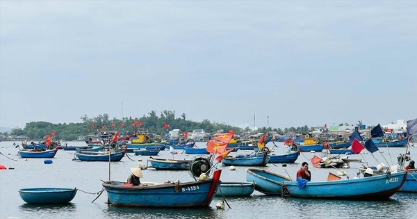 Lênh đênh nghề thuyền thúng