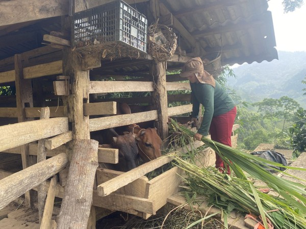 Huyện miền núi đa dạng giải pháp giảm nghèo bền vững