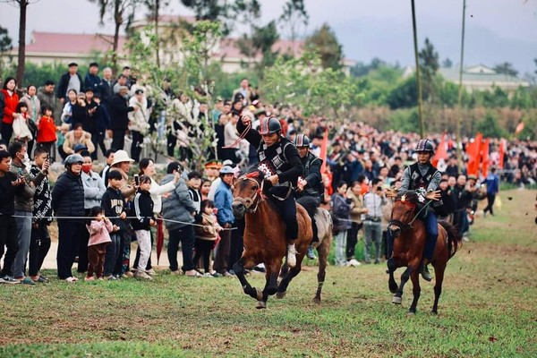 Sắp diễn ra ngày hội đua ngựa Tây Bắc