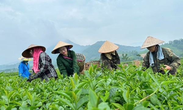 Vượt 'vùng an toàn' để khởi nghiệp