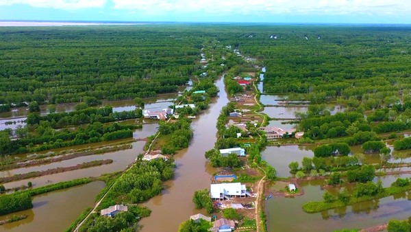 Mô hình 'con tôm ôm gốc đước' ở Cà Mau: Thích ứng biến đổi khí hậu