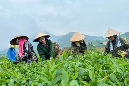 Vượt 'vùng an toàn' để khởi nghiệp