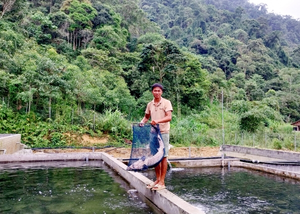 Tùng Vài nhân rộng các mô hình phát triển kinh tế