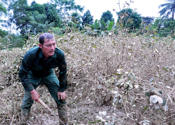 Sau lũ, người dân cần giống, vật tư... để khôi phục sản xuất