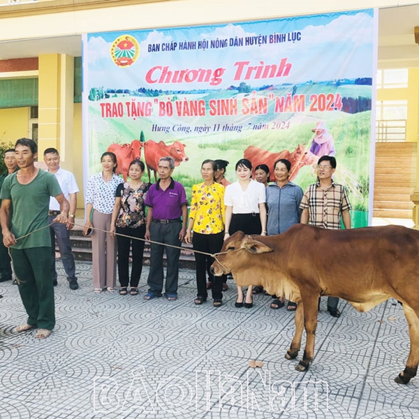 Hội Nông dân huyện Bình Lục trao tặng bò vàng sinh sản cho hội viên nông dân nghèo