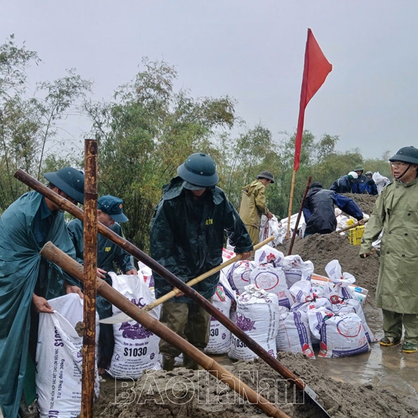 Nỗ lực khắc phục sự cố sạt trượt trên đê hữu sông Hồng thuộc xã Tiến Thắng