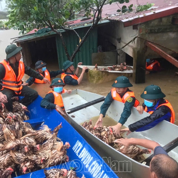 LLVT thị xã Duy Tiên dầm mình trong mưa, lũ ứng cứu nhân dân