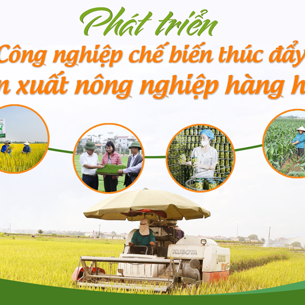 Phát triển công nghiệp chế biến thúc đẩy sản xuất nông nghiệp hàng hóa